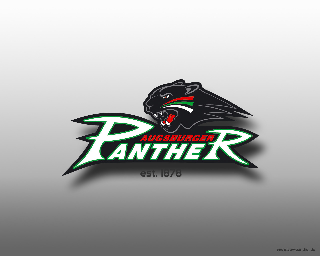 Augsburg Panthers Augsburg Panthers