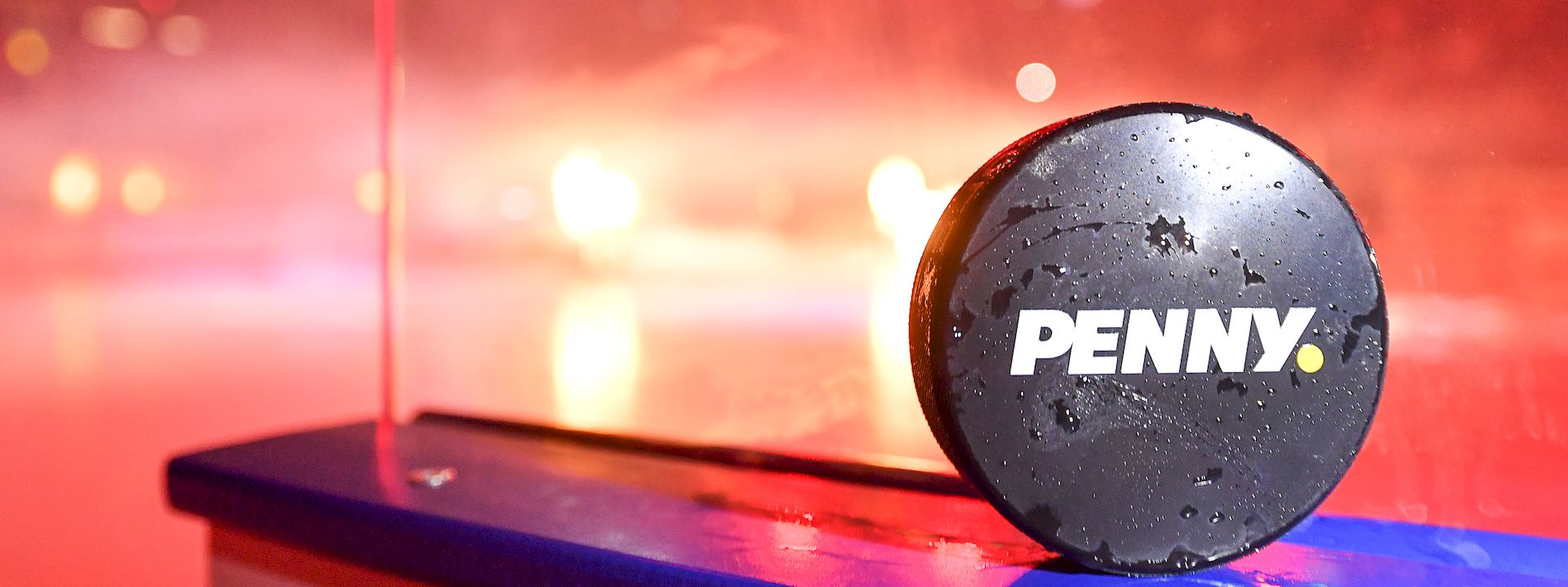Deutsche Eishockey Liga