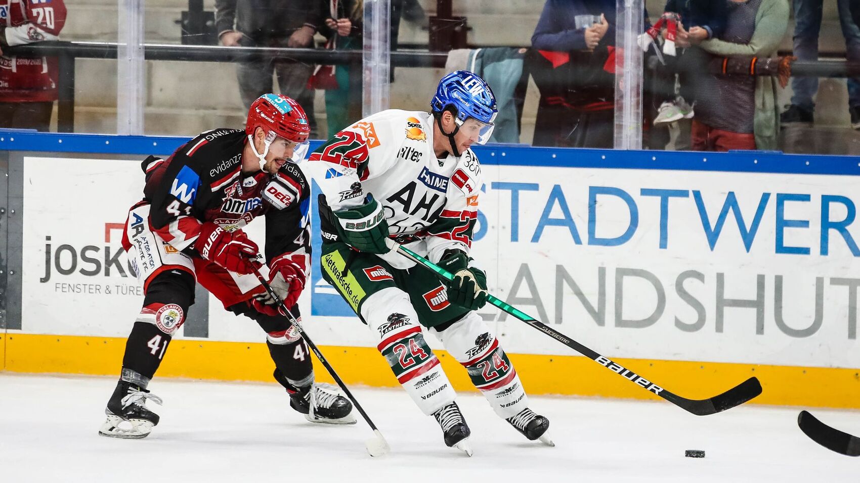 Panther testen in Landshut - News