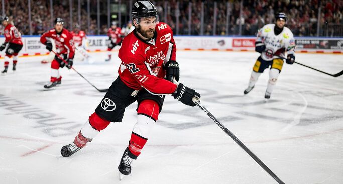Alexandre Grenier verstärkt die Panther-Offensive
