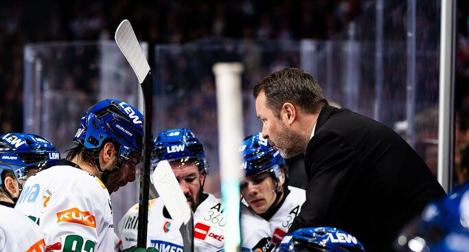 Dolak verlässt die Panther - Endras und Schelenz bleiben