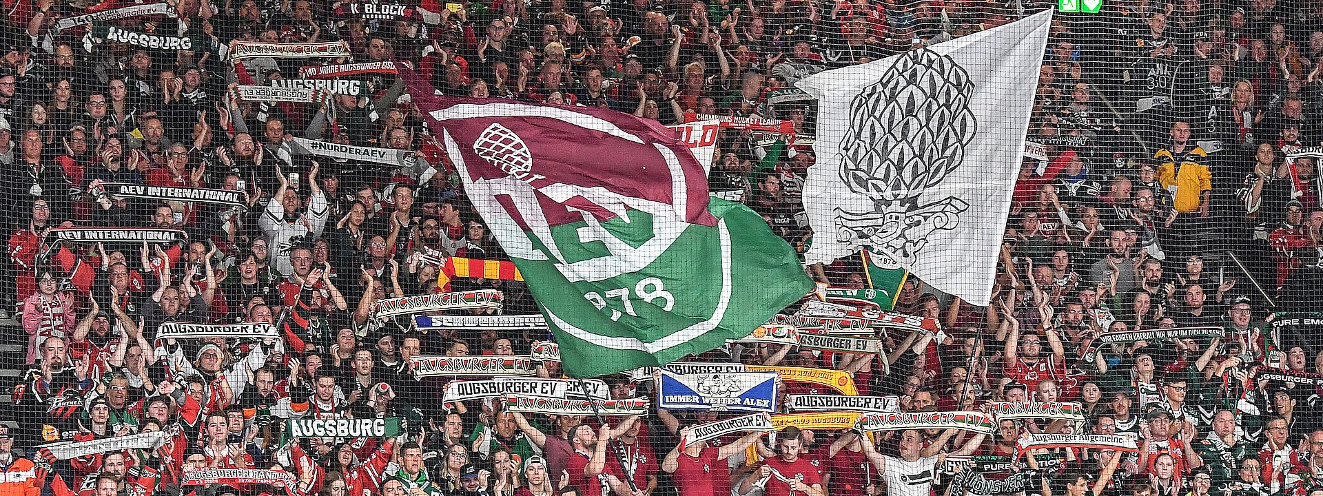 Fanbeirat & Fanplattform